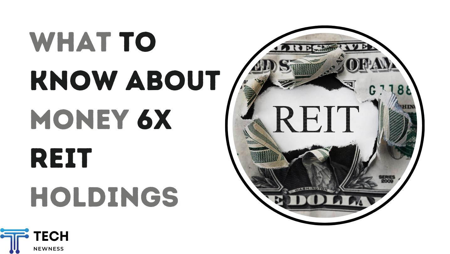 Money 6x Reit Holdings