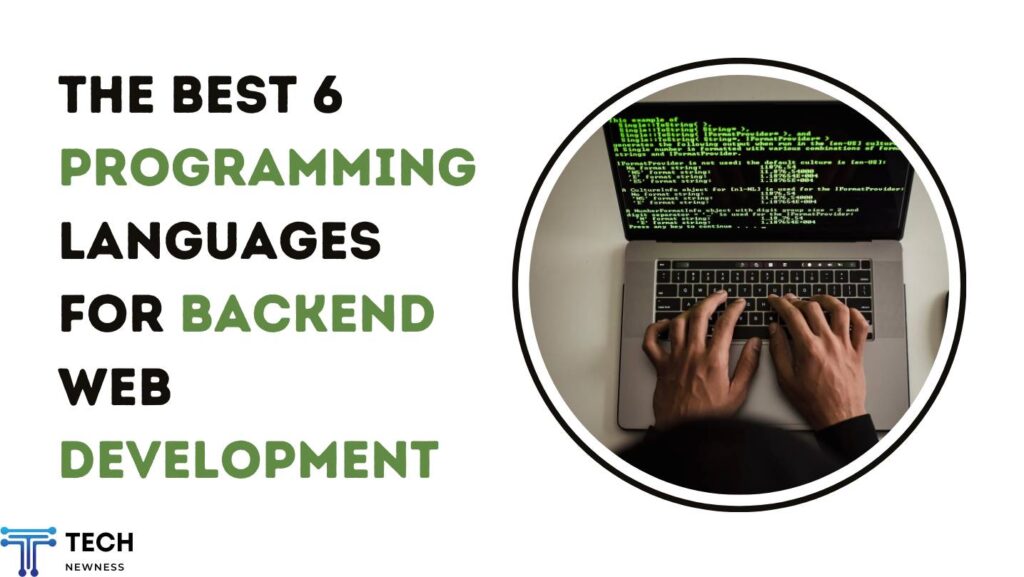 Programming Languages for Backend Web Development